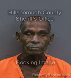 Mugshot of Bethanie Berthol booked in Hillsborough County, Florida on September 10, 2026