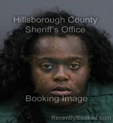 Mugshot of Ashley Guerrier booked in Hillsborough County, Florida on September 10, 2026