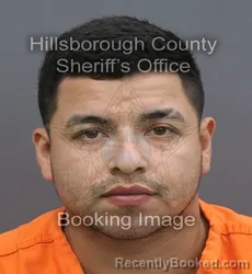 Mugshot of Janner Alexis Vidarte Cabrejos booked in Hillsborough County, Florida on September 10, 2026