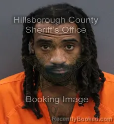 Mugshot of Robert Craige Williams booked in Hillsborough County, Florida on September 10, 2026