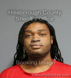 Mugshot of Adrian Jerard Giles booked in Hillsborough County, Florida on September 10, 2026