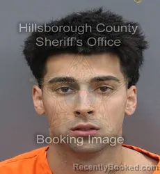Mugshot of Armando Jr Arguelles booked in Hillsborough County, Florida on September 10, 2026