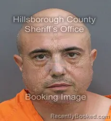 Mugshot of Frank Romeo booked in Hillsborough County, Florida on September 10, 2026