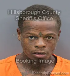 Mugshot of Terell Teroy Hanna booked in Hillsborough County, Florida on September 10, 2026