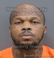Mugshot of Richard Devaughn James booked in Hillsborough County, Florida on September 10, 2026