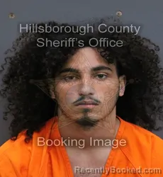 Mugshot of Julian Luis Hernandez booked in Hillsborough County, Florida on September 10, 2026