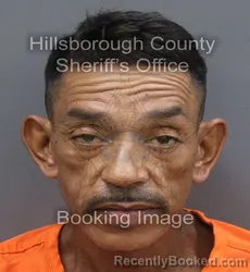 Mugshot of Felix Jr Delvalle booked in Hillsborough County, Florida on September 10, 2026