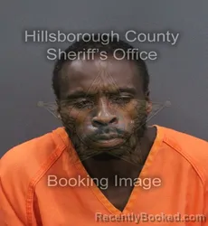 Mugshot of Devlin M Clark booked in Hillsborough County, Florida on September 10, 2026