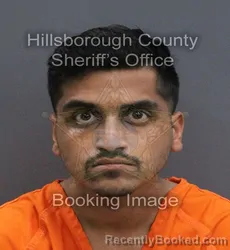 Mugshot of Rohan U Parikh booked in Hillsborough County, Florida on September 10, 2026