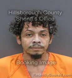 Mugshot of Carlos Alberto Jr Alvarado booked in Hillsborough County, Florida on September 10, 2026