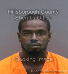 Mugshot of Dante Michael Sea booked in Hillsborough County, Florida on September 10, 2026