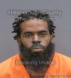 Mugshot of Jeff Eugene Lewis booked in Hillsborough County, Florida on September 10, 2026