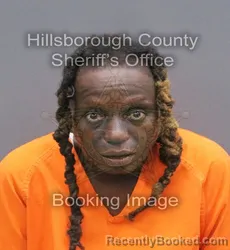 Mugshot of Lakuisha Mae Watts booked in Hillsborough County, Florida on September 10, 2026