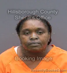 Mugshot of Chiquita Shevandre Lowman booked in Hillsborough County, Florida on September 10, 2026