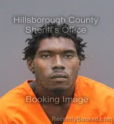 Mugshot of Phillip Johnnie Reeves booked in Hillsborough County, Florida on September 10, 2026