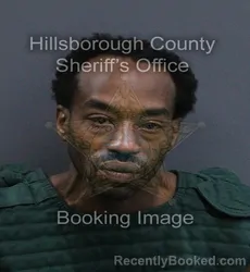 Mugshot of Romelra Roberson booked in Hillsborough County, Florida on September 10, 2026