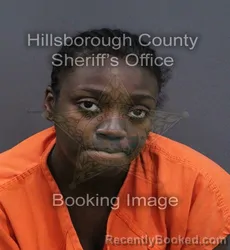Mugshot of Angel Patton booked in Hillsborough County, Florida on September 11, 2026