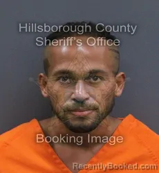 Mugshot of Wilton Ricardo De Oleo booked in Hillsborough County, Florida on September 11, 2026