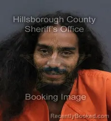 Mugshot of Christopher Brian Rosario booked in Hillsborough County, Florida on September 11, 2026