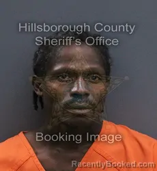 Mugshot of Jonathan James Williams booked in Hillsborough County, Florida on September 11, 2026