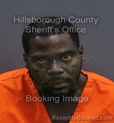 Mugshot of Stentson Keith Jr Williams booked in Hillsborough County, Florida on September 11, 2026