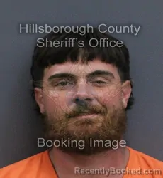 Mugshot of Cameron Mccarthy booked in Hillsborough County, Florida on September 11, 2026