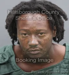 Mugshot of Jerome Markey Jr Lewis booked in Hillsborough County, Florida on September 11, 2026