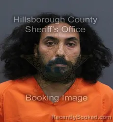 Mugshot of Kerlous D Guirguis booked in Hillsborough County, Florida on September 11, 2026