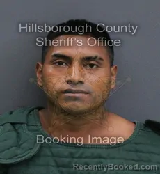 Mugshot of Cristino Diaz Gomez booked in Hillsborough County, Florida on September 11, 2026