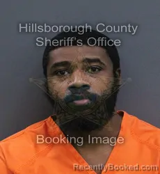 Mugshot of Jeffrey Dale Jr Newton booked in Hillsborough County, Florida on September 11, 2026