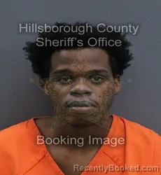 Mugshot of Mike Lee Thornton booked in Hillsborough County, Florida on September 11, 2026