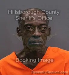Mugshot of Timothy Tim booked in Hillsborough County, Florida on September 11, 2026