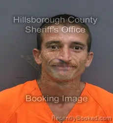 Mugshot of Ahmad Q Mostamandi booked in Hillsborough County, Florida on September 11, 2026