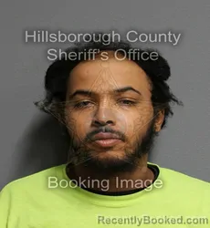Mugshot of Daveed Dishon Flagg booked in Hillsborough County, Florida on September 11, 2026
