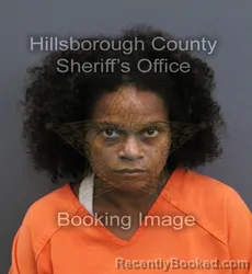 Mugshot of Giovanni Wedderburn booked in Hillsborough County, Florida on September 11, 2026