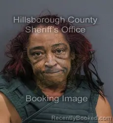 Mugshot of Michelle L Minasian booked in Hillsborough County, Florida on September 11, 2026