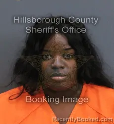 Mugshot of Shakira Laureen Nichole Page booked in Hillsborough County, Florida on September 11, 2026