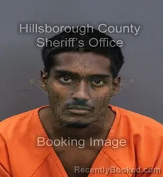 Mugshot of Anthony Alex Ganness booked in Hillsborough County, Florida on September 11, 2026