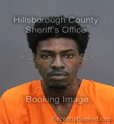 Mugshot of Taurean Reshae Sanders booked in Hillsborough County, Florida on September 11, 2026