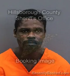 Mugshot of Christian George Gaudinau booked in Hillsborough County, Florida on September 11, 2026