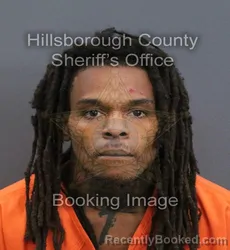 Mugshot of Aundai Charles Lovett booked in Hillsborough County, Florida on September 11, 2026