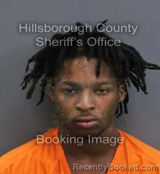 Mugshot of Dmarion Marquis Williams booked in Hillsborough County, Florida on September 11, 2026