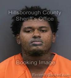 Mugshot of Zymire Malik Terry booked in Hillsborough County, Florida on September 11, 2026