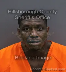 Mugshot of Emille Stephen Todd booked in Hillsborough County, Florida on September 11, 2026