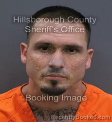 Mugshot of Zachary Dean Bernier booked in Hillsborough County, Florida on September 11, 2026