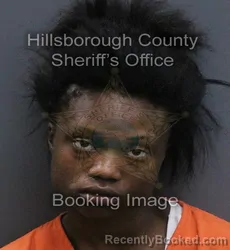 Mugshot of Calicia Naomi Hamilton booked in Hillsborough County, Florida on September 11, 2026
