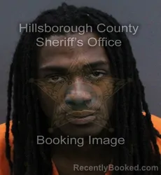 Mugshot of Kemani Shawn Passee booked in Hillsborough County, Florida on September 11, 2026