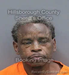 Mugshot of Lorne Abron Harshey booked in Hillsborough County, Florida on September 11, 2026