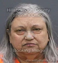 Mugshot of Fe Rivero-Alvarez booked in Hillsborough County, Florida on September 11, 2026