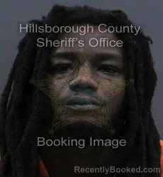 Mugshot of Lenard Devis Jr Saintlouis booked in Hillsborough County, Florida on September 11, 2026